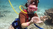 A swimmer using SNUBA equipment and holding a sea urchin