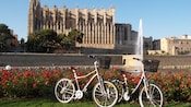 Bicycles featuring baskets on a lawn lined with flowers with the Gothic Church of San Francisco in the distance