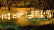 Botes y remos en fila dentro de una cueva