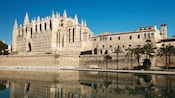 An enormous Gothic cathedral with a roof full of spires
