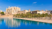 The Cathedral of Santa Maria of Palma stands majestically against a body of water and an orchard of young palm trees
