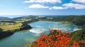 Wild flowers and lush vegetation surround Furnas Lake on the island of São Miguel