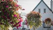 The English town of Lyme Regis reveals historic buildings and lampposts decorated with hanging baskets of flowers