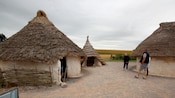 A small cluster of houses with primitive thatched roofs and open entryways