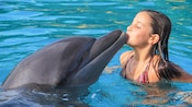 Uma jovem recebe um beijo de um golfinho