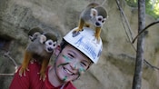 Um menino sorridente usa um capacete e pintura facial verde, com dois macaquinhos no ombro e na cabeça