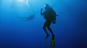Two scuba divers descend underwater