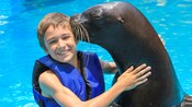 Un niño pequeño recibe un beso en la mejilla de un león marino joven
