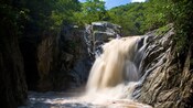 A rushing waterfall spills into a lush lagoon