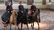 3 women ride horses in an arena