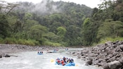 Grupos de pessoas remam em jangada rio abaixo tendo com a floresta enevoada em plano de fundo