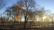 The sun sets on an autumn day in a park with a statue rung by trees