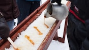 Maple syrup drips from a pitcher onto a patch of snow