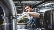 A man pours hops into a vat