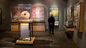 Uma mulher busca exposições em um museu viking