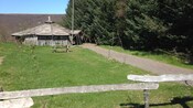 The Golden Circle With Family Barbeque