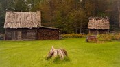 An old wooden house with thatched roof, fireplace and a large woodpile surrounded by trees
