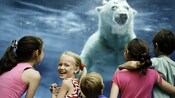 Crianças observam de perto um urso polar em um aquário se aproximar delas