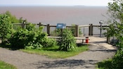 A path leads up to a bench, an information plaque and a railing with a lookout over muddy waters