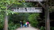 Uma placa de madeira diz Muir Woods National Monument e paira sobre uma família em uma trilha cercada por uma floresta exuberante