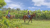 Personas con cascos y jeans montando a caballo en un área con abundante vegetación
