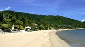 A man and a woman walking on the shoreline of a lush tropical beach containing palm trees, lounge chairs and sun umbrellas