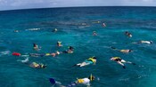 Um grupo de mergulhadores explora as águas enquanto flutua com o rosto para baixo na superfície do oceano
