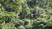 Woman slides along a zipline with the forest canopy behind her