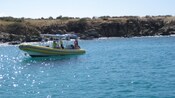 A rigid inflatable powerboat moored near a rocky coastline