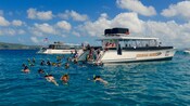 Guests snorkel the waters around an anchored tour boat