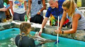 A man strokes a shark’s fin as a handler supports the shark in the water