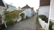 A narrow cobblestone road runs through a quaint neighborhood with picket fences