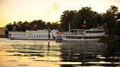 Boats on a body of water near trees