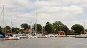 Boats in a marina near trees