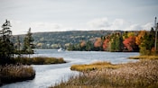 A winding lake surrounded by heavily forested shores sporting fall colors