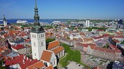 El casco antiguo de Tallin, en donde se ven edificios, árboles, calles, automóviles y un cuerpo de agua