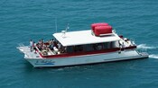 A snorkel boat carries passengers across calm waters