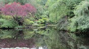 The Sunken Garden pond at Butchart Gardens