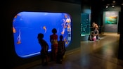3 children marvel at jellyfish through a large aquarium