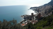Buildings cover a hillside down to the coast with vegetation peaking up between structures