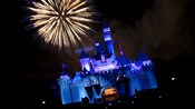 Sleeping Beauty Castle and a spectacular streak of fireworks