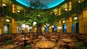Árbol de 25 pies en el centro del comedor, rodeado de luces, mesas y sillas