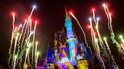 Feux D Artifice Et Spectacles Nocturnes Walt Disney World Resort - on fait exploser des feux dartifice dans roblox