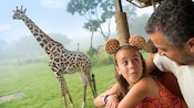 Giraffes on the savanna standing near a girl dressed in giraffe-print Mickey Mouse ears
