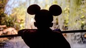 Silhouette of a kid wearing Mickey Mouse ears