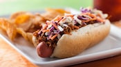 A hot dog topped with coleslaw and pulled pork near a pile of potato chips on a plate