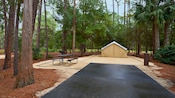 Tall trees and bushes frame a campsite with cement parking pad and a picnic table