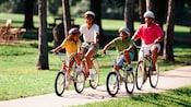 Família de 4 pessoas usando capacetes e andando de bicicleta em um caminho de concreto pelas árvores