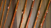 Close-up of 8 bamboo fishing poles