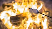 Deux guimauves sur un bâton grillant au-dessus d’un feu de camp